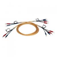 Van Den Hul Mounted set 3T The Air 2m BERRI bi-wiring (2-4) gold
